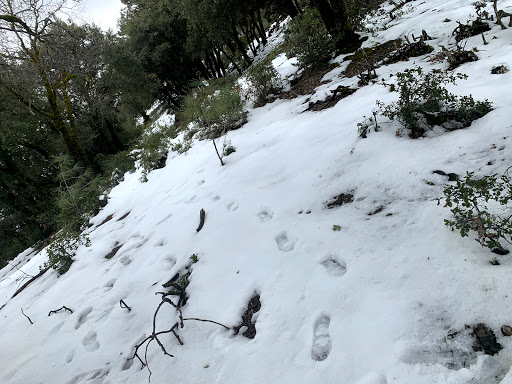 Observatory «Lick Observatory», reviews and photos, 7281 Mt Hamilton Rd, Mt Hamilton, CA 95140, USA