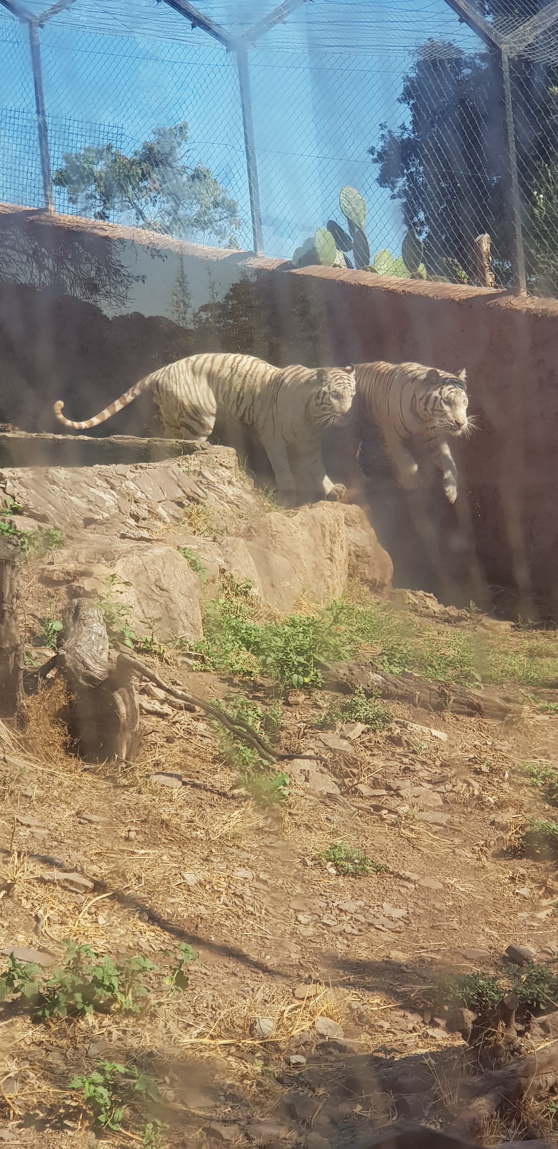 Photo n° 10 de l'avis de stephanie.a fait le 05/08/2018 à 15:29