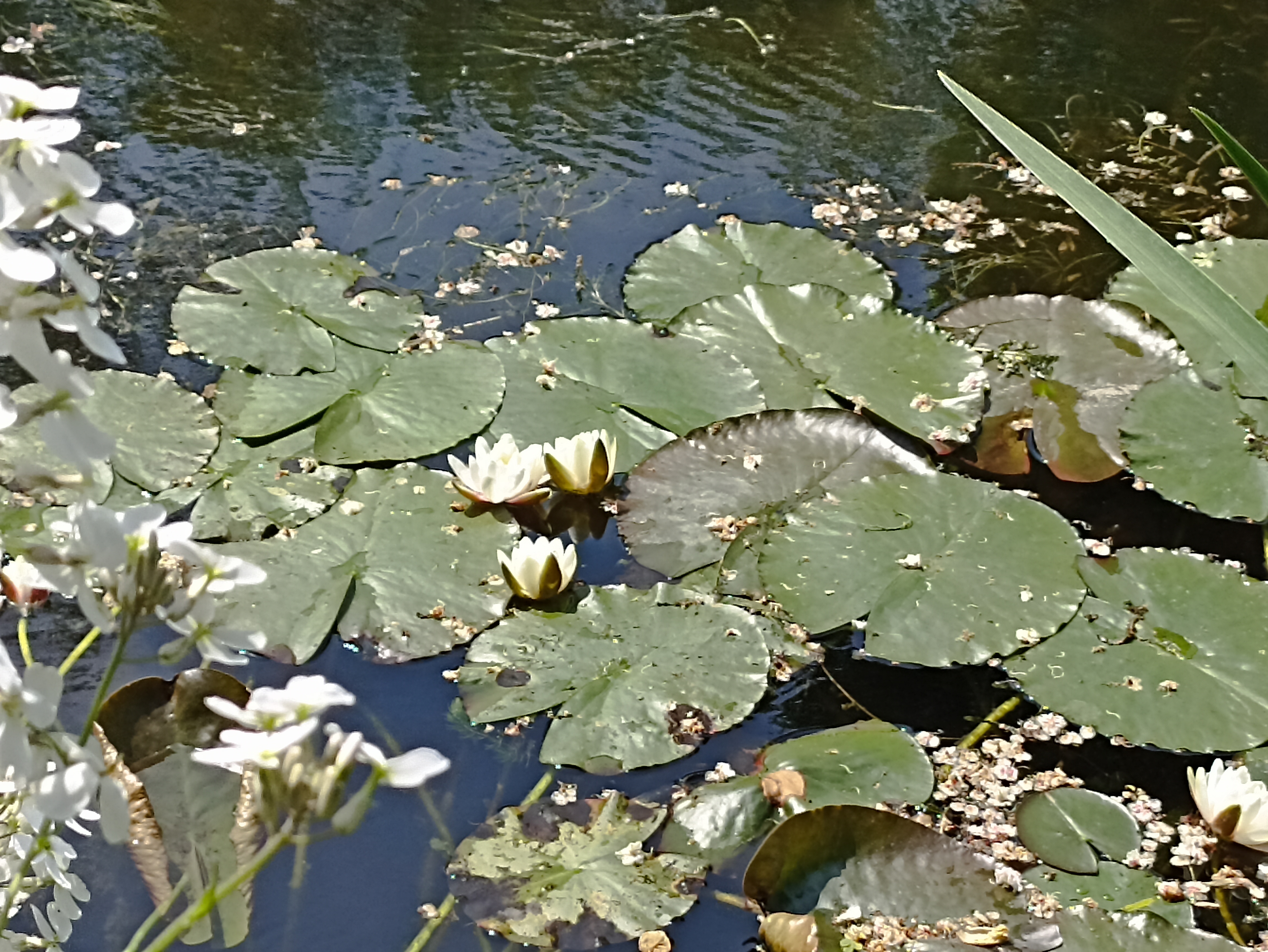 Photo n° 2 de l'avis de Dominique.o fait le 24/05/2023 à 14:50