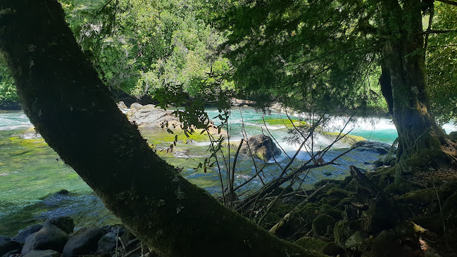 Teléfono de Sendero Hoffman