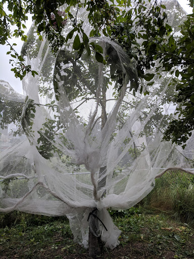 Park «Dr. Jose Rizal Park», reviews and photos, 1007 12th Ave S, Seattle, WA 98144, USA