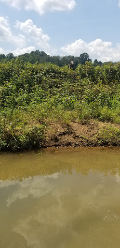 Horseback Riding Service «Long C Trails», reviews and photos, 8959 Hanes Rd, Westmoreland, TN 37186, USA