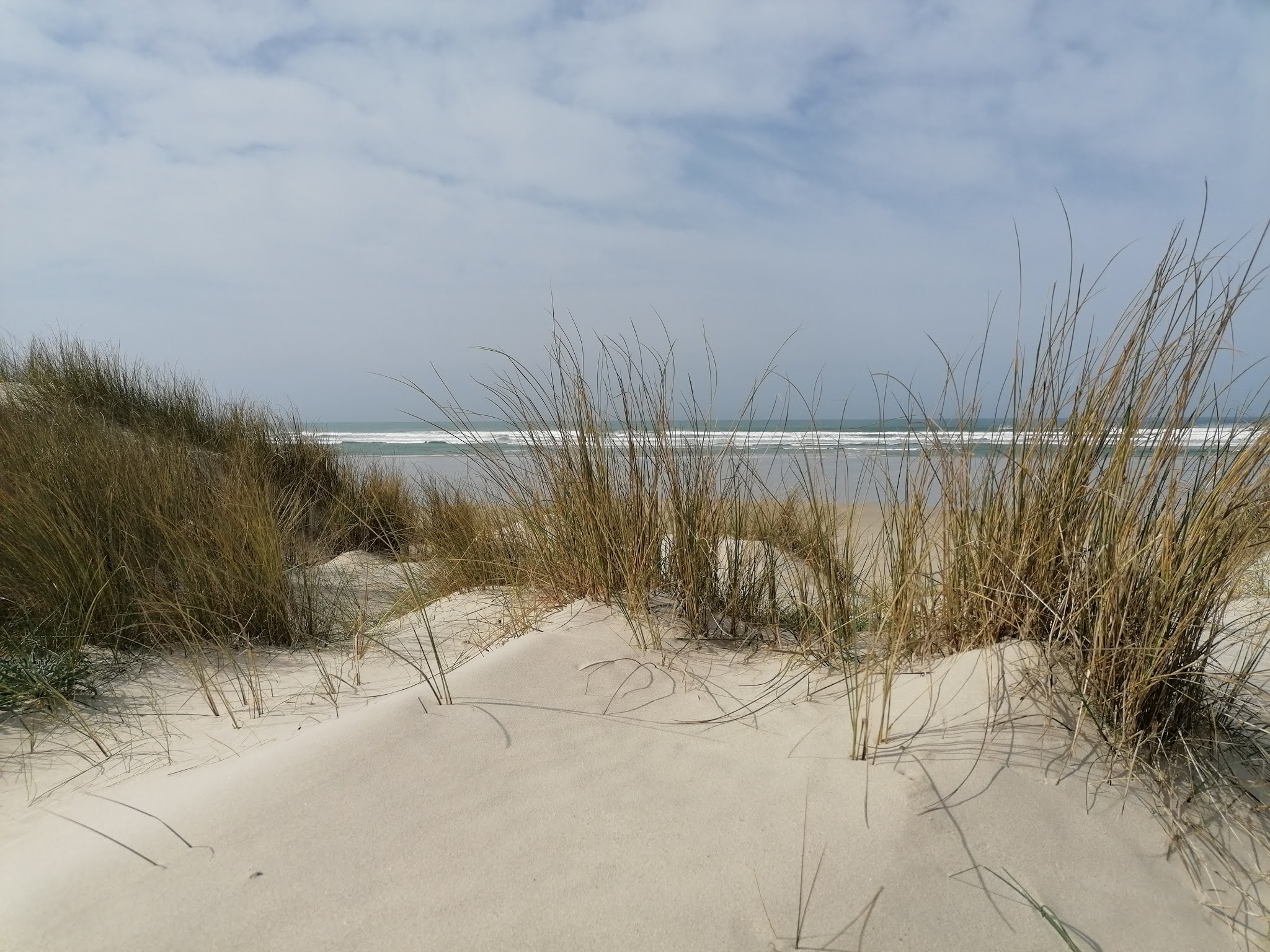 Photo n° 1 de l'avis de guillaume.r fait le 13/04/2021 à 08:34