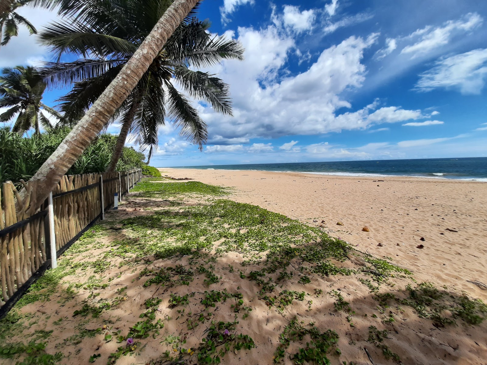 Kahandamodara Beach'in fotoğrafı çok temiz temizlik seviyesi ile