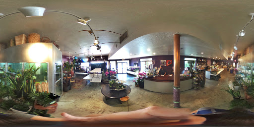 Florist «Pistils & Petals», reviews and photos, 1060 Alton Rd, Miami Beach, FL 33139, USA