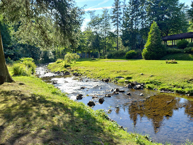 Kurpark Im Spiegeltal 49, 38709 Wildemann, Deutschland