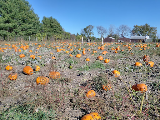 Afton Apple Orchard