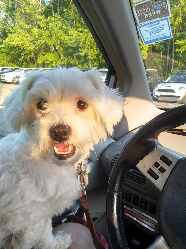 Nissan Dealer «Middletown Nissan», reviews and photos, 1153 Newfield St, Middletown, CT 06457, USA