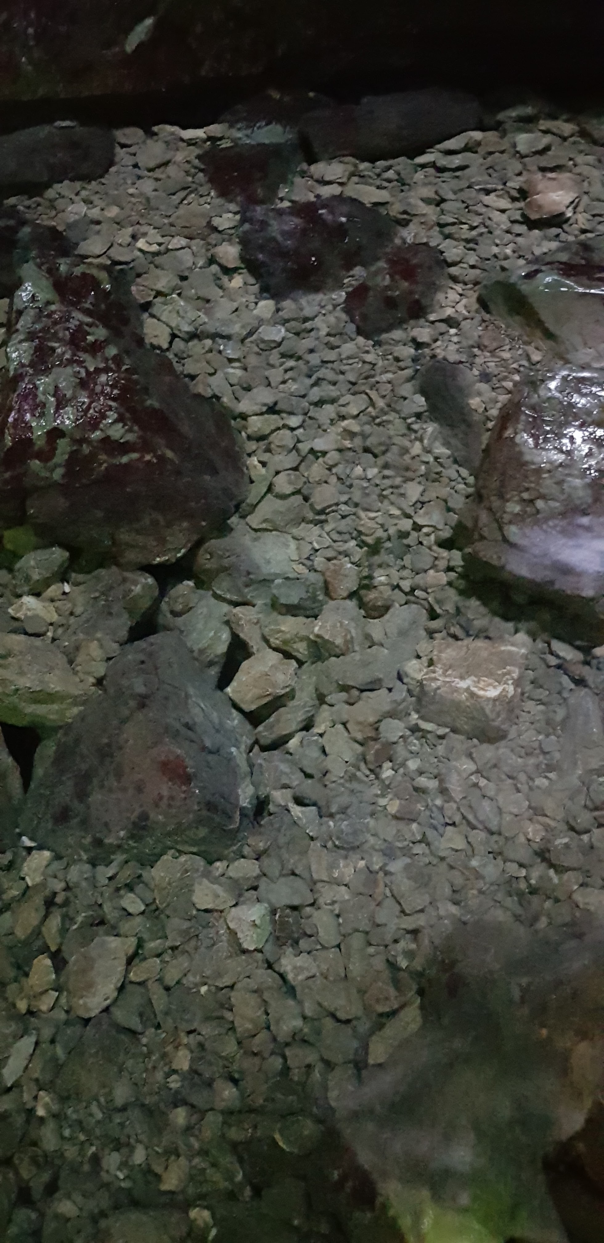 Photo n° 2 de l'avis de Frédérique.o fait le 15/08/2019 à 16:35