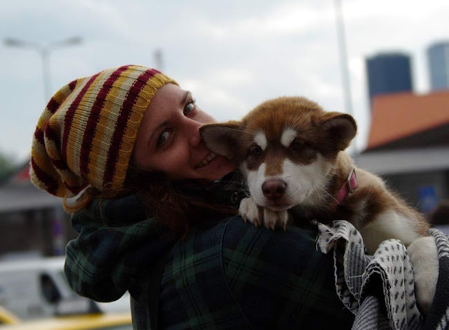 LOKO PERRO DOG GROOMING SALON - Dog trainer