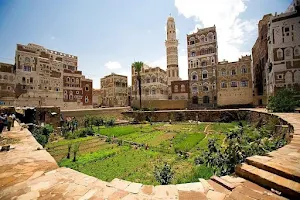 Grove Old Sana'a image