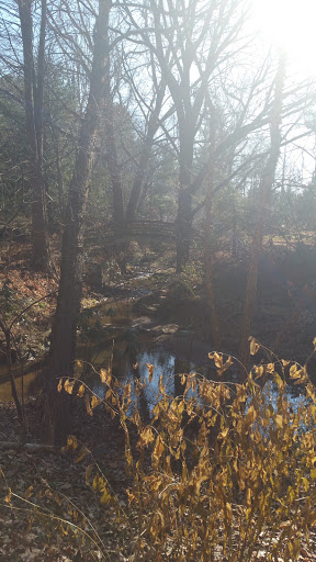 Botanical Garden «Botanical Gardens At Asheville», reviews and photos, 151 W .T. Weaver Blvd, Asheville, NC 28804, USA