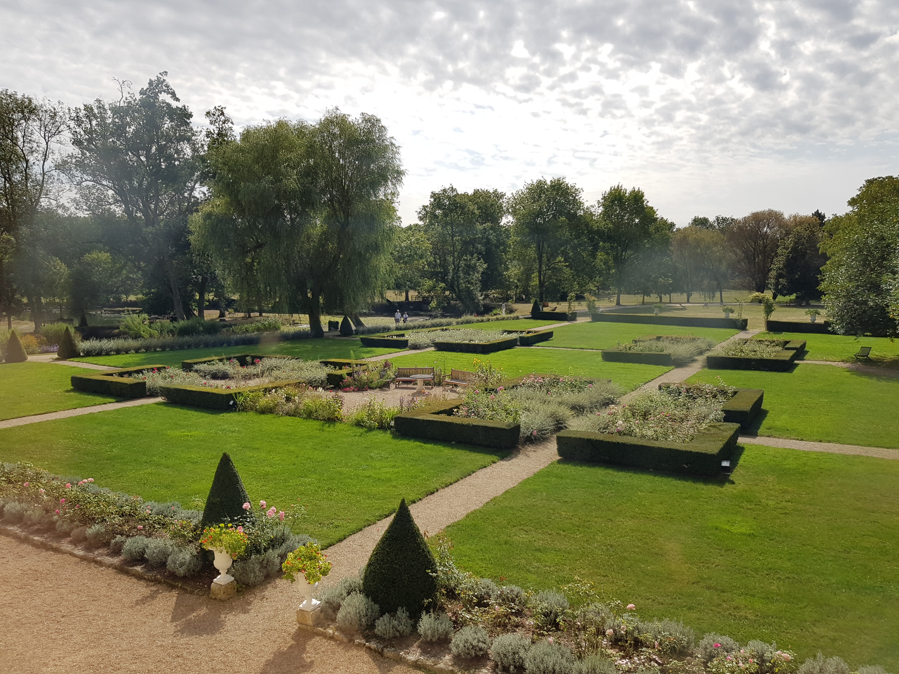 Photo n° 12 de l'avis de dragon. fait le 06/10/2018 à 13:05