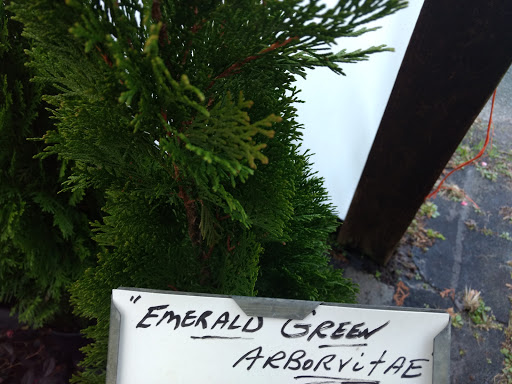 Florist «Dixie Florist», reviews and photos, 5279 Bells Ferry Rd, Acworth, GA 30102, USA