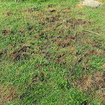 Photo n°3 de l'avis de Johann.t fait le 23/09/2020 à 08:14 sur le  Residence San Michele à Costermano sul Garda