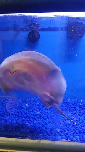 Pet Store «Pet Junction», reviews and photos, 146 NH-108, Dover, NH 03820, USA