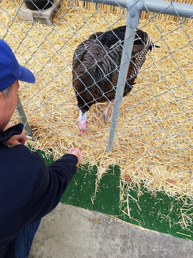 Garden Center «Chesterton Feed & Garden Center», reviews and photos, 400 Locust St, Chesterton, IN 46304, USA