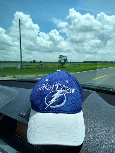 Tourist Attraction «Premier Boat Tours», reviews and photos, 100 Alexander St, Mt Dora, FL 32757, USA