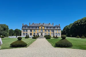 Chateau de Dommerville image
