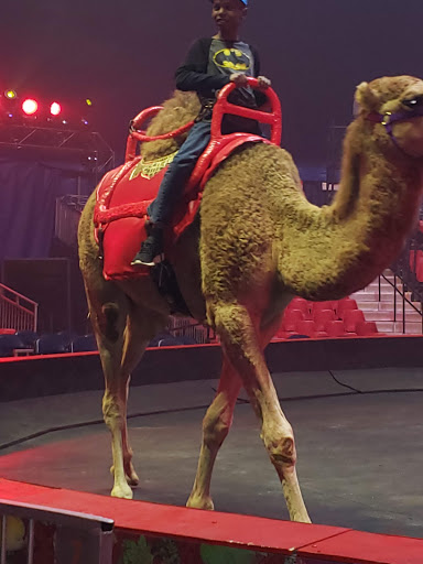 Festival «Atlanta Fair», reviews and photos, 655 Central Ave SW, Atlanta, GA 30312, USA