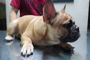 Canine Veterinary Clinic image