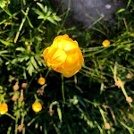 Photo n°8 de l'avis de Rita. fait le 14/04/2019 à 00:40 sur le  Capanna Viote à Monte Bondone