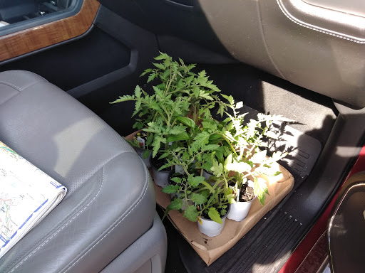 Florist «Dutch & Olgas Greenhouse», reviews and photos, 1285 NJ-36, Hazlet, NJ 07730, USA