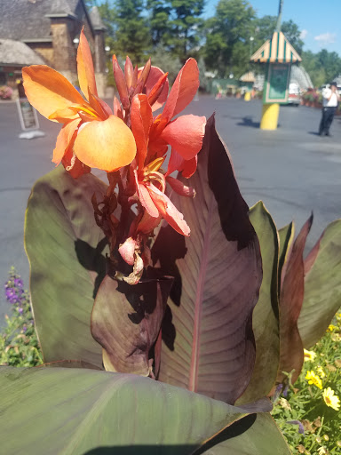 Amusement Park «Canobie Lake Park», reviews and photos, 85 N Policy St, Salem, NH 03079, USA