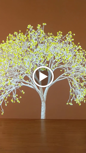 Department Store «MUJI», reviews and photos, 170 S Market St #120, San Jose, CA 95113, USA