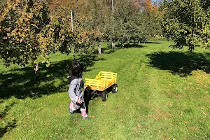 Rocky Brook Orchard image