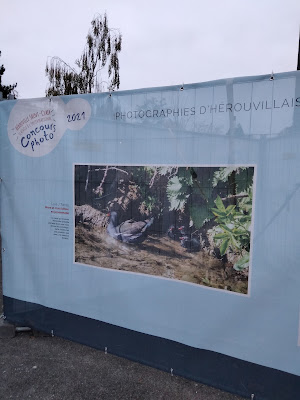Pôle Animation Et Jeunesse à Hérouville-Saint-Clair