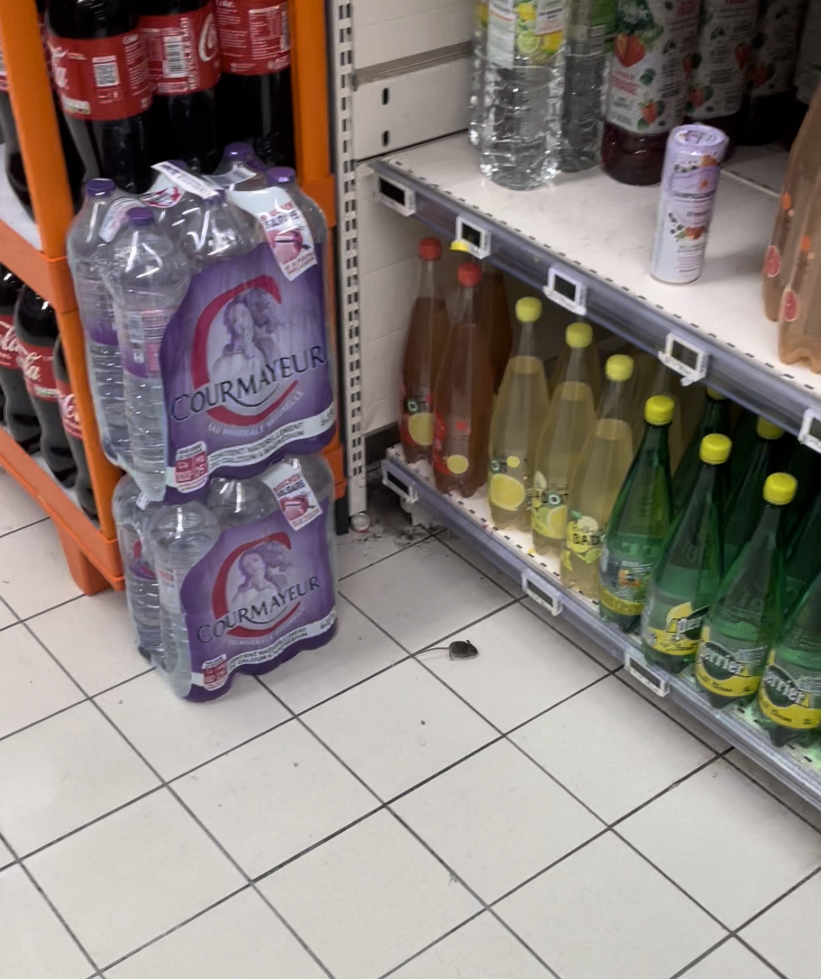 Photo n° 1 de l'avis de Thibault. fait le 23/02/2022 à 19:27
