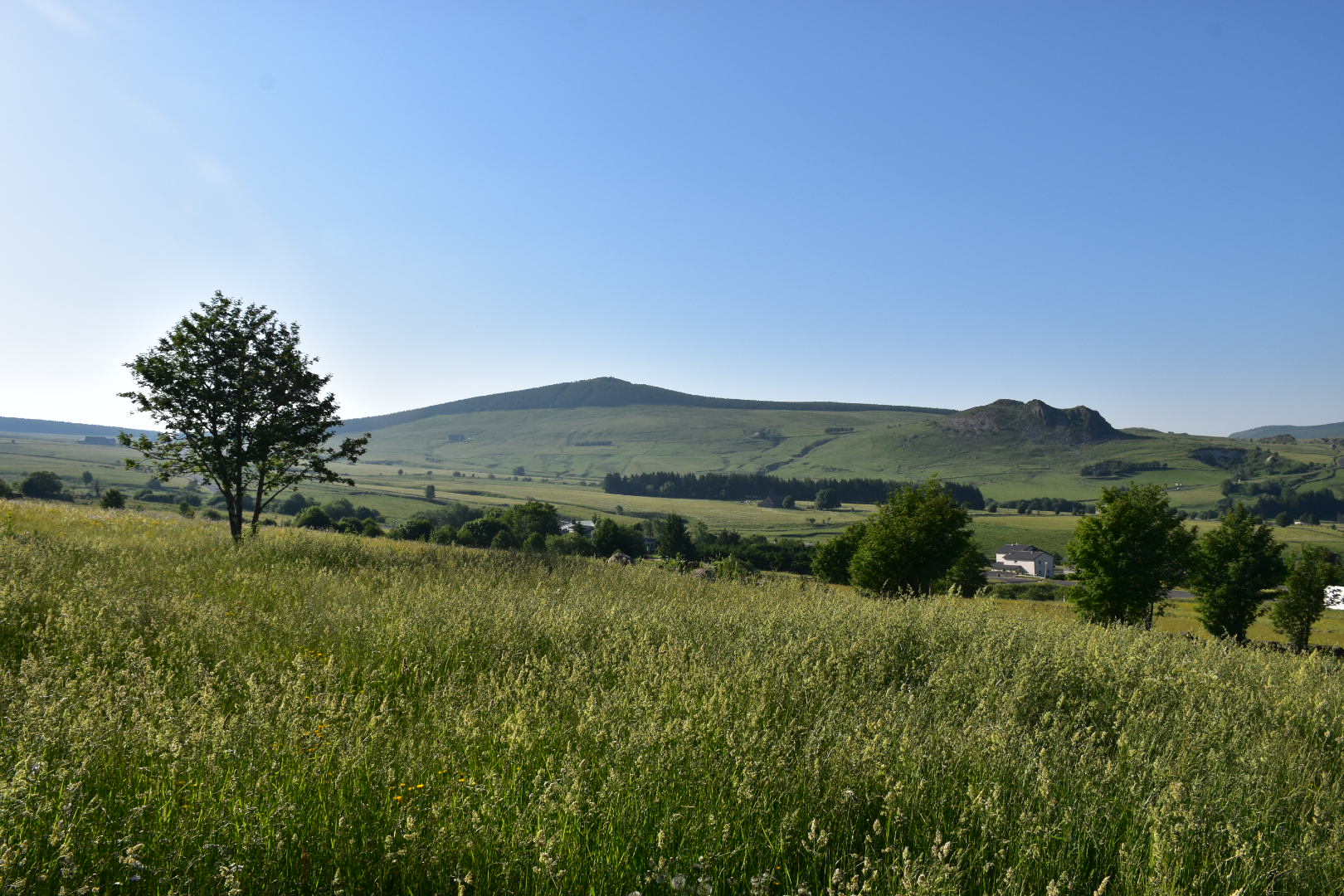 Photo n° 22 de l'avis de Muriel.e fait le 02/07/2019 à 20:00