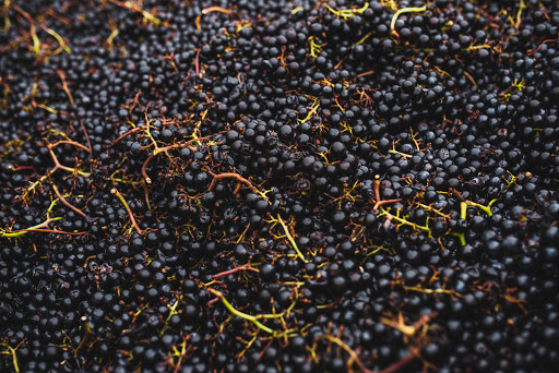 Winery «Treleaven Wines», reviews and photos, 658 Lake Rd, King Ferry, NY 13081, USA