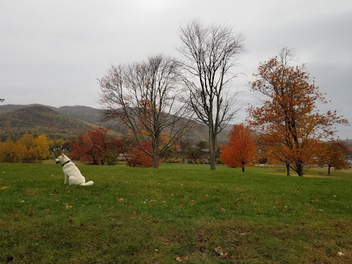 Gift Shop «Impressions of Saratoga», reviews and photos, 368 Broadway, Saratoga Springs, NY 12866, USA