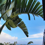 Photo n°6 de l'avis de innamorata.i fait le 22/08/2020 à 16:45 sur le  Pata Pata à Scicli