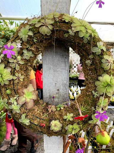 Plant Nursery «California Carnivores», reviews and photos, 2833 Old Gravenstein Hwy, Sebastopol, CA 95472, USA