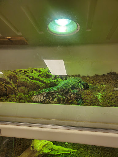 Reptile Store «Pets & Things», reviews and photos, 44825 Van Dyke, Utica, MI 48317, USA