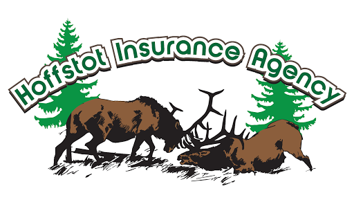 Farmers Insurance - Ryan Hoffstot, 65 W Oregon Ave, Creswell, OR 97426, Insurance Agency