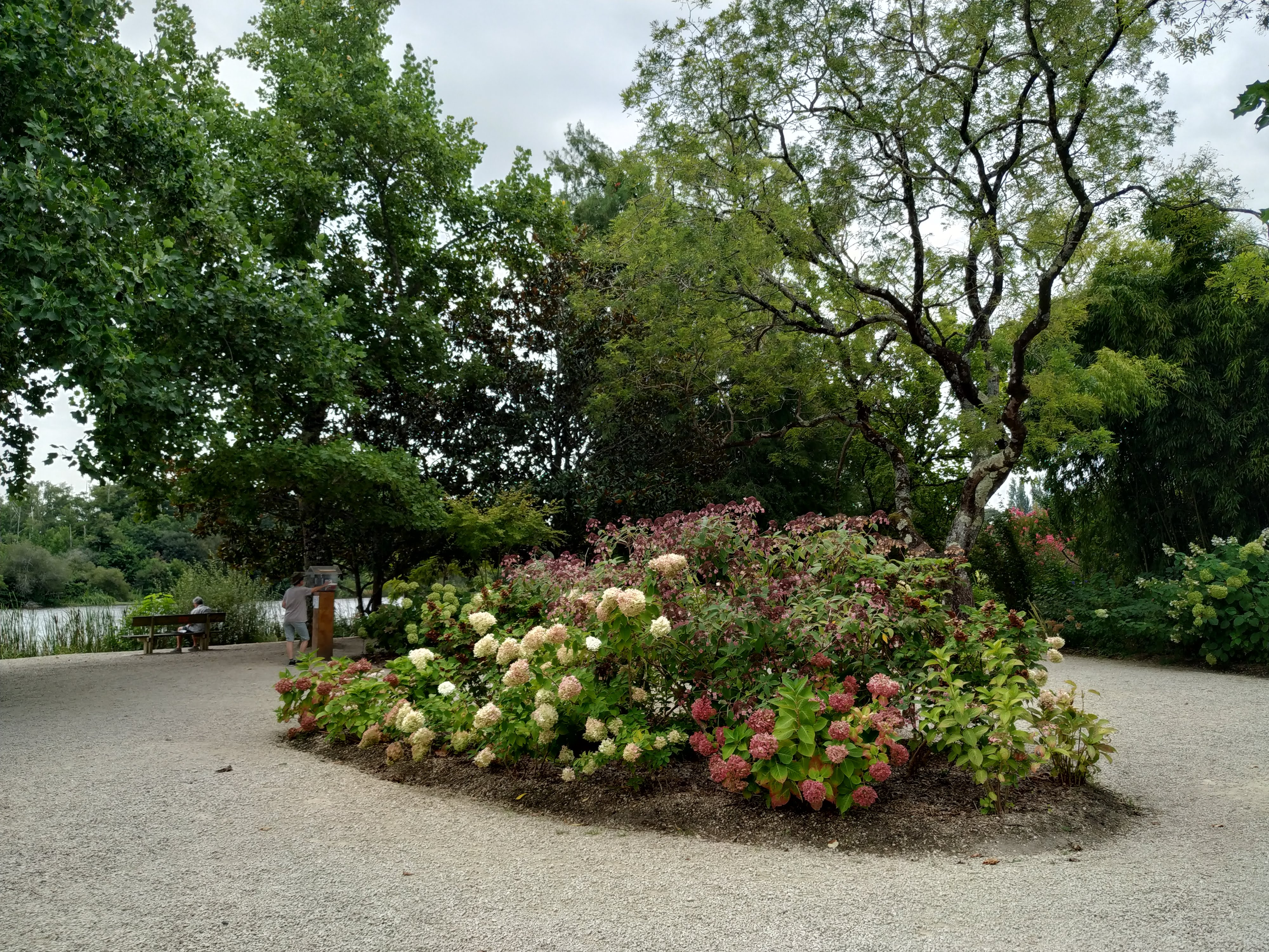 Photo n° 21 de l'avis de emmanuel.6 fait le 27/08/2019 à 16:24