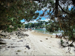 Plage de Minaouet'in fotoğrafı vahşi alan