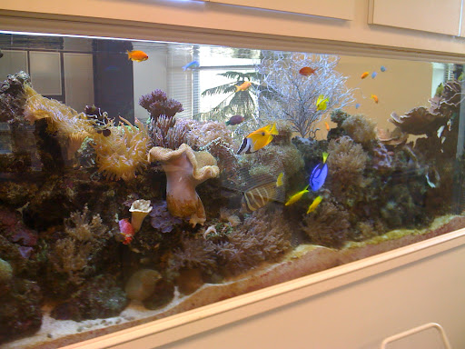 Krohne Tanks and Ponds