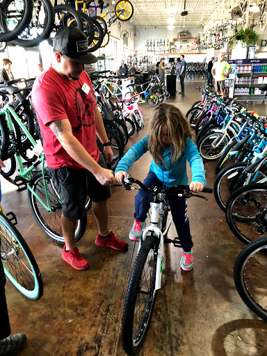Bicycle Store «Richardson Bike Mart», reviews and photos, 1451 W Campbell Rd, Richardson, TX 75080, USA