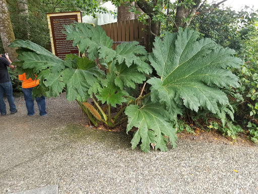 Tourist Attraction «Prehistoric Gardens», reviews and photos, 36848 US-101, Port Orford, OR 97465, USA