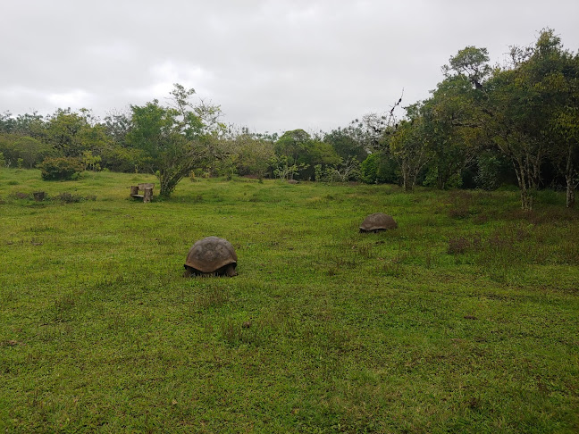 Rancho Primicias - Giant Tortoise Reserve - Tienda