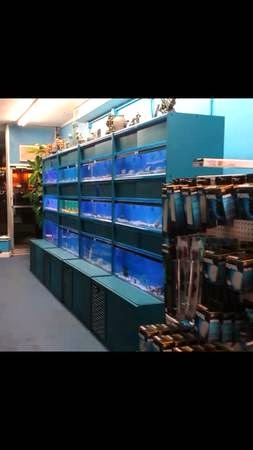 Pet Store «Fishlife Aquariums», reviews and photos, 221 Walt Whitman Rd, Huntington Station, NY 11746, USA
