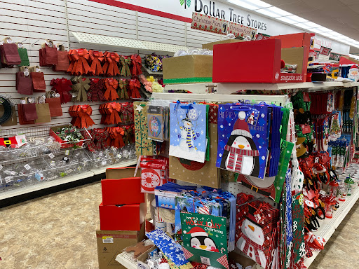 Dollar Store «Dollar Tree», reviews and photos, 9534 Main Street, Fairfax, VA 22031, USA