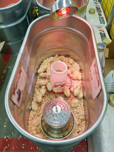 Home Improvement Store «Tractor Supply Co.», reviews and photos, 2101 Bay St STE A, Taunton, MA 02780, USA