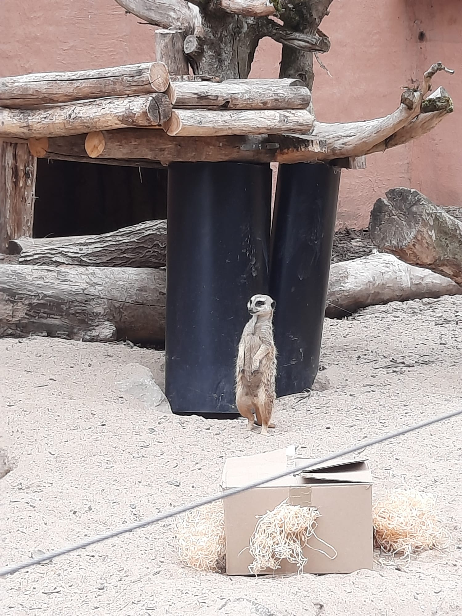 Photo n° 5 de l'avis de Sylvie. fait le 20/08/2023 à 06:35