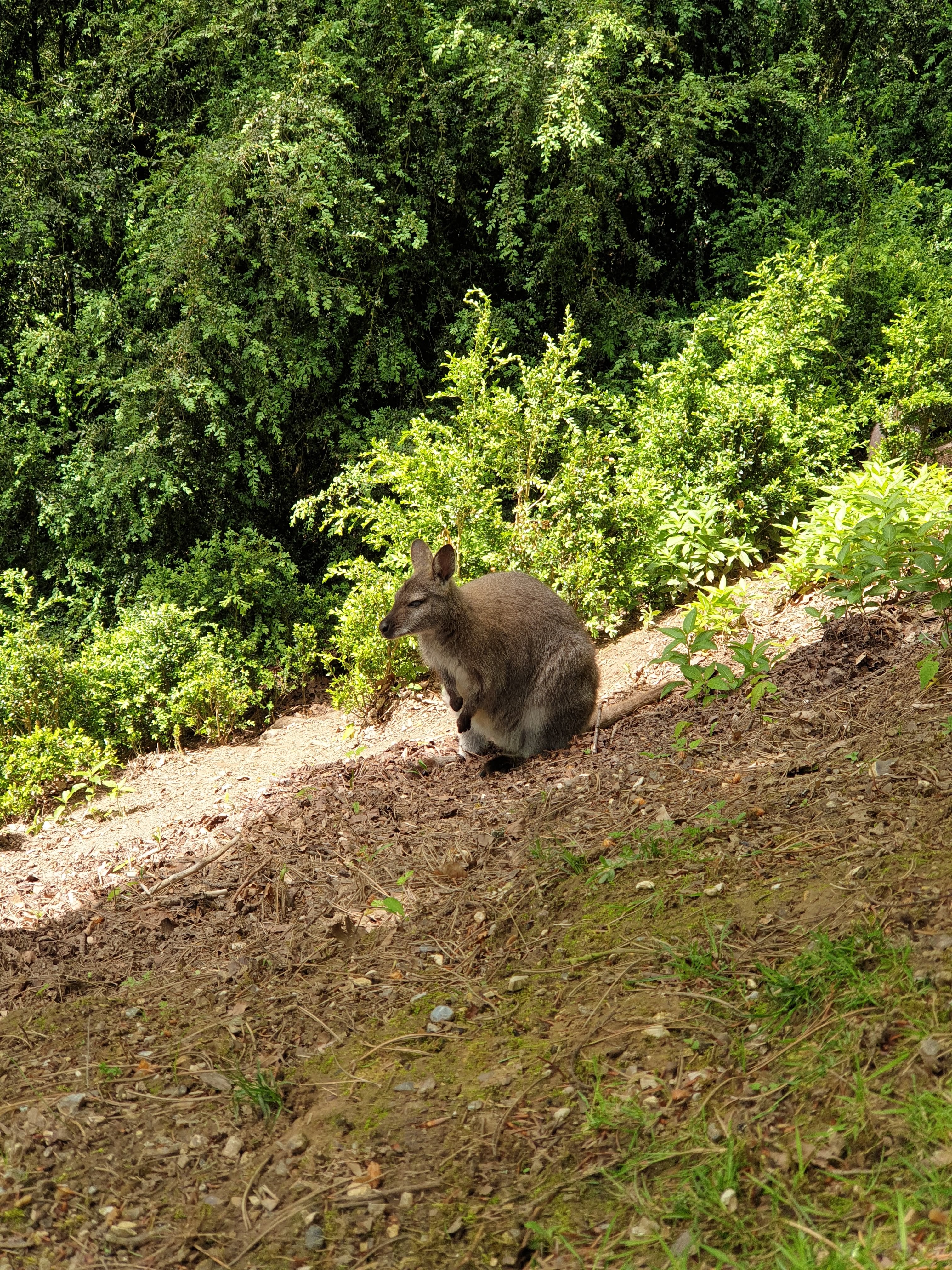 Photo n° 2 de l'avis de virginie.a fait le 30/05/2021 à 06:19